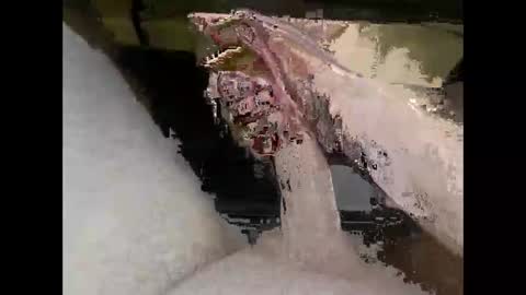 hung_mac0 online show from April 7, 2026, 5:02 pm