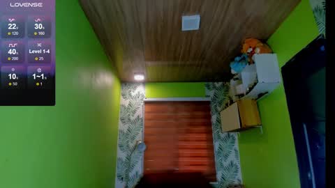 Snapshot of hungasiangirl chatting on December 2, 2024, 3:04 am help me make 25000 tokens for my mother HEARING aid online show from December 2, 2024, 3:04 am