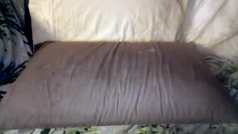hung420boner online show from June 12, 2026, 8:02 am