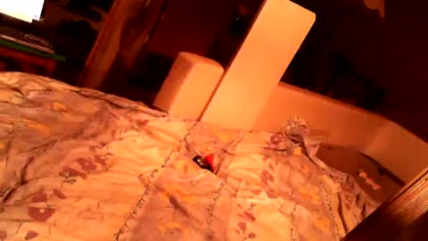 hungryanalslut online show from February 18, 2025, 10:58 pm