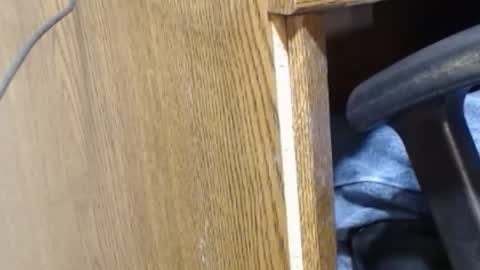 hungsofine online show from December 23, 2024, 9:40 pm