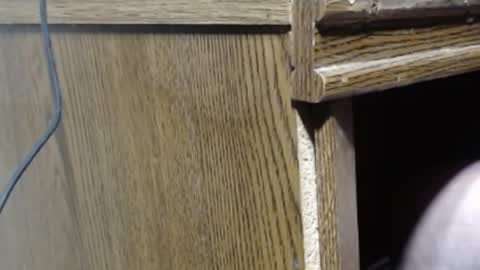 hungsofine online show from December 26, 2024, 7:27 pm