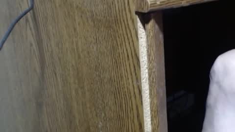 hungsofine online show from December 29, 2024, 6:16 pm