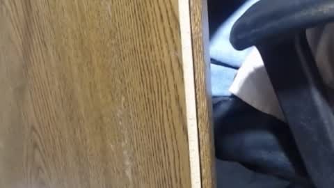 hungsofine online show from January 13, 2025, 10:03 pm