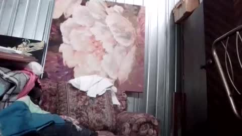 i1nt2fuk online show from October 7, 2025, 12:19 am