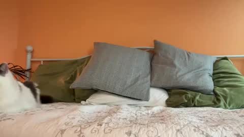 Snapshot of i_love_olive chatting on October 24, 2025, 11:12 pm Olive online show from October 24, 2025, 11:12 pm