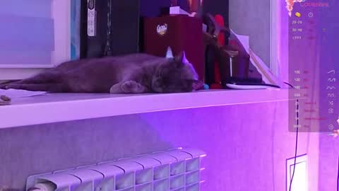 Snapshot of i_see_aysi chatting on March 6, 2026, 3:08 pm Aysi online show from March 6, 2026, 3:08 pm