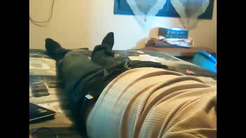 iagreeto online show from February 3, 2025, 1:30 pm