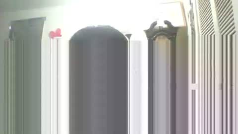 I LOVE  MY   COCONUT   EAT  MY   COCONUTS online show from September 13, 2025, 1:55 pm