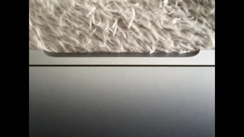 Snapshot of ijaisi chatting on September 14, 2025, 1:43 pm Morvoys online show from September 14, 2025, 1:43 pm