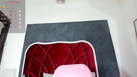 illegal_lorry online show from January 5, 2025, 8:32 am