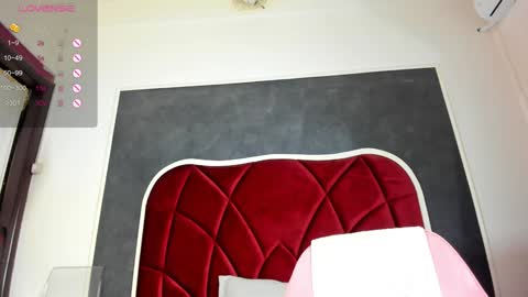 illegal_lorry online show from January 16, 2025, 10:53 am