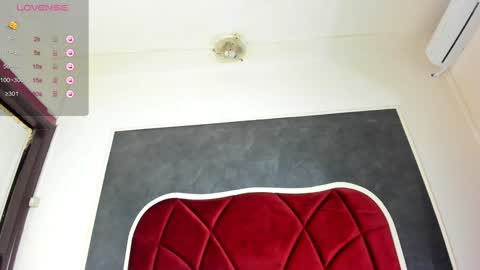 illegal_lorry online show from January 17, 2025, 8:02 am