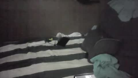 iloveitall86 online show from November 4, 2025, 6:01 am