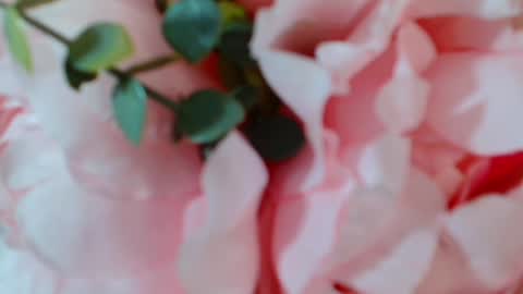 Carrie online show from January 25, 2025, 5:07 am