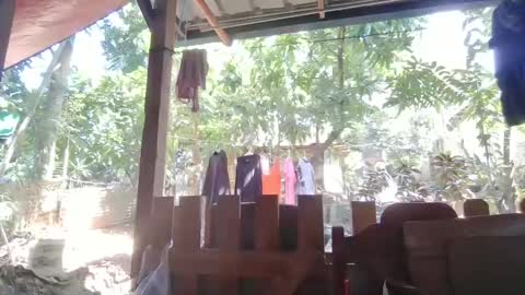 Immaculate02 online show from February 1, 2025, 4:46 am