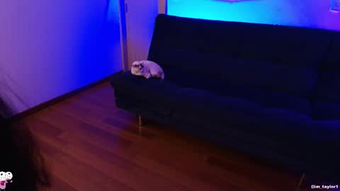 TAYLOR  online show from October 24, 2025, 1:03 am