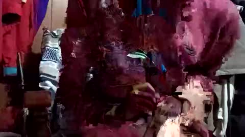 in201943 online show from April 30, 2026, 7:47 am