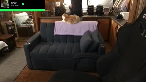 Carter online show from February 5, 2026, 4:39 am