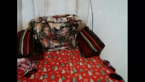 Candy cat online show from January 11, 2025, 10:08 am