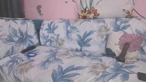 Parul online show from January 11, 2026, 9:47 am