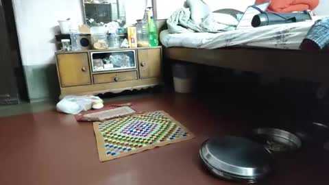 BOREDILDO online show from March 12, 2026, 7:09 pm