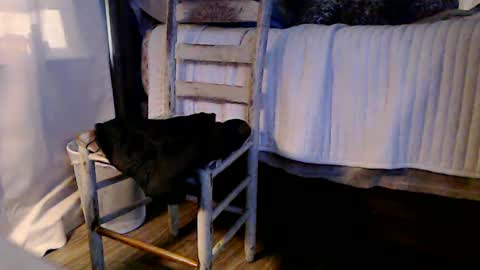 Snapshot of indicasonly chatting on January 4, 2025, 1:53 pm indicasonly online show from January 4, 2025, 1:53 pm