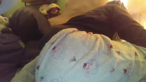 indigo_scorpio online show from November 28, 2025, 5:43 am