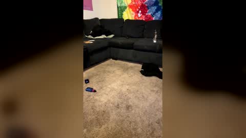 InfamousLibby  Linktree  online show from February 8, 2026, 10:18 am