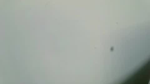 Inglorious Hairy Uncut online show from February 16, 2025, 6:54 am