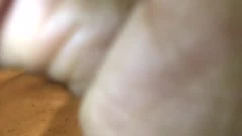 InternationalGodFather online show from January 27, 2025, 3:18 pm