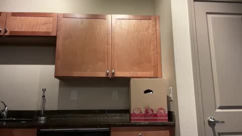 irissweets online show from April 10, 2026, 7:13 am