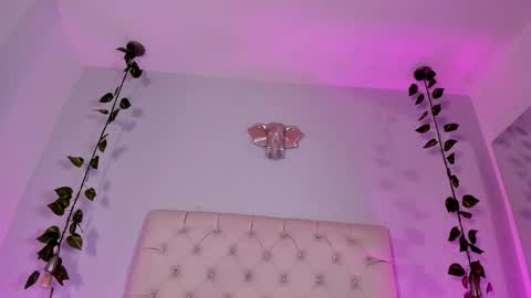   online show from November 18, 2025, 9:19 pm