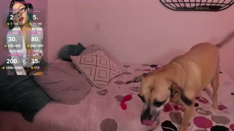 Isa online show from January 4, 2025, 6:09 am