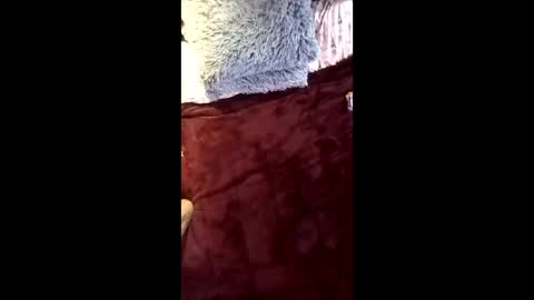 Ral online show from April 16, 2026, 9:32 am