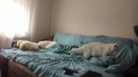 Issabelle online show from March 4, 2025, 6:26 am