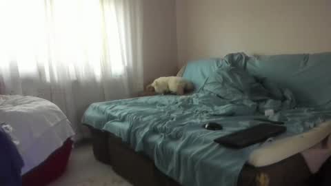 Issabelle online show from October 20, 2025, 5:08 am