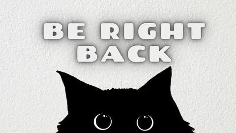 Issie online show from January 11, 2026, 2:11 pm