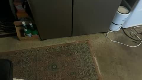 Snapshot of italiano9in chatting on November 3, 2025, 3:24 pm Tony online show from November 3, 2025, 3:24 pm