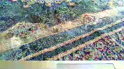 its_me_2323 online show from October 5, 2025, 7:28 am