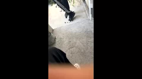 itsjayyourbae online show from February 18, 2026, 11:11 pm