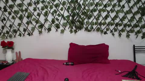 iivycarrter online show from June 17, 2026, 3:31 am