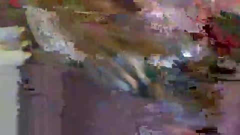 iwantthenutt online show from March 25, 2026, 2:50 am