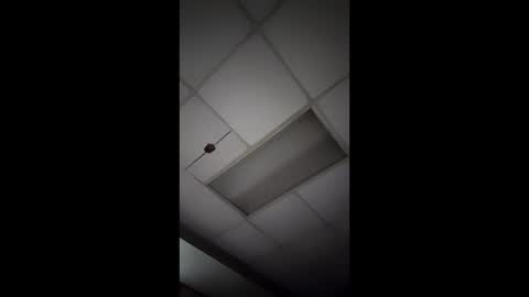 wonderbread online show from January 14, 2026, 11:49 am