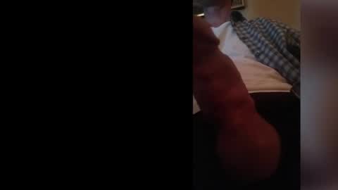 jaaydantaay online show from February 7, 2025, 12:28 pm