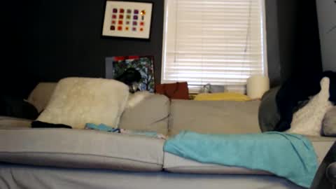 Snapshot of jackie_sugar chatting on October 31, 2025, 2:18 pm Jackie online show from October 31, 2025, 2:18 pm