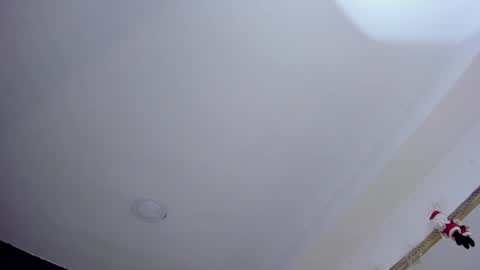 Snapshot of jackribas chatting on December 20, 2024, 8:28 am Jack  online show from December 20, 2024, 8:28 am