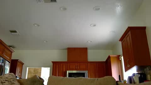 jacktome369 online show from November 11, 2025, 7:58 pm