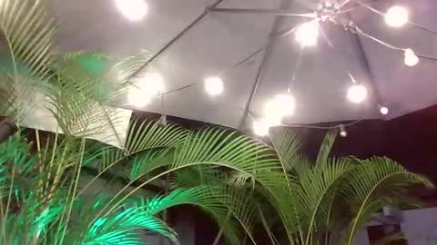 jacobdraven online show from December 5, 2025, 3:26 am