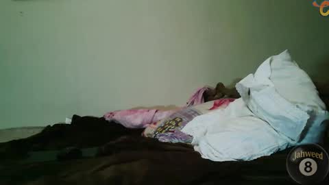 Jahweed online show from February 8, 2026, 12:08 pm